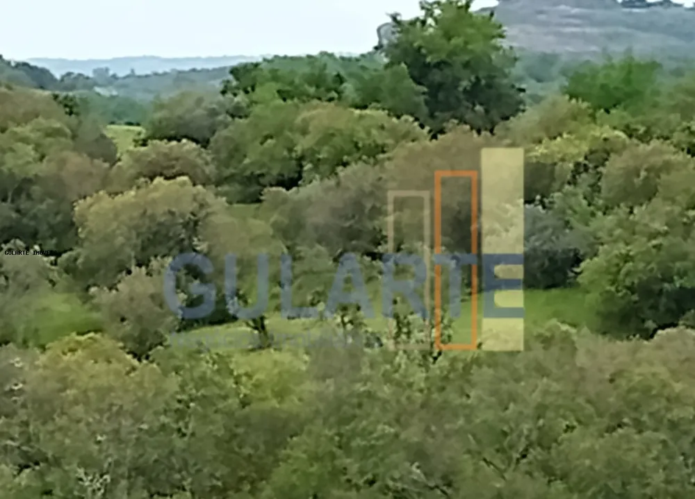 Fazenda, 218 hectares - Foto 3