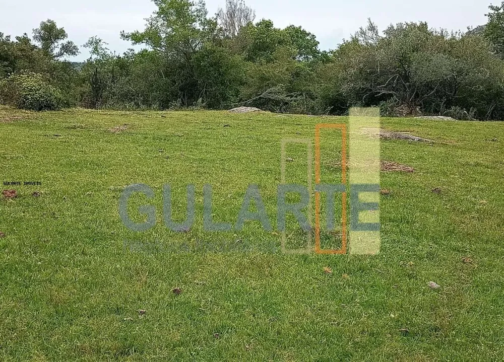 Fazenda, 218 hectares - Foto 4