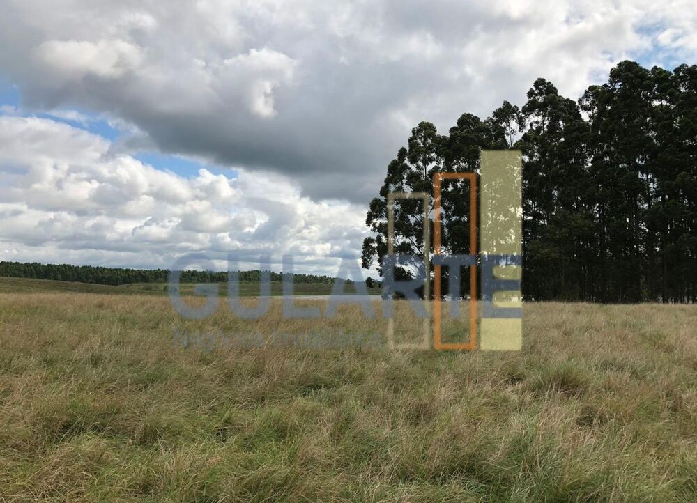 Fazenda à venda, 3720000m² - Foto 5