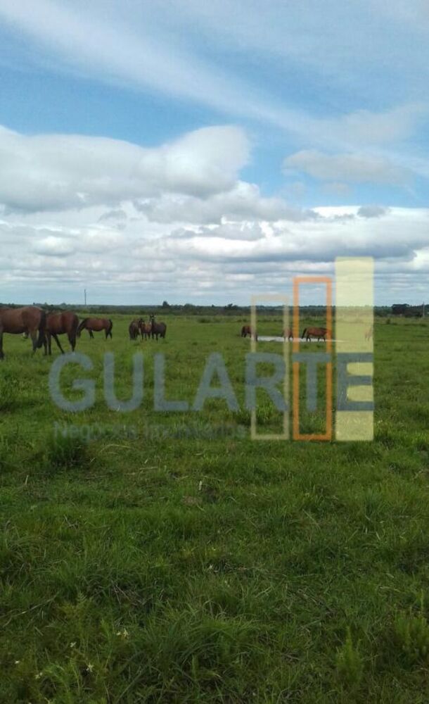 Fazenda à venda, 3720000m² - Foto 2