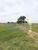 Fazenda-Sítio-Chácara, 372 hectares - Foto 3