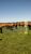 Fazenda-Sítio-Chácara, 372 hectares - Foto 9