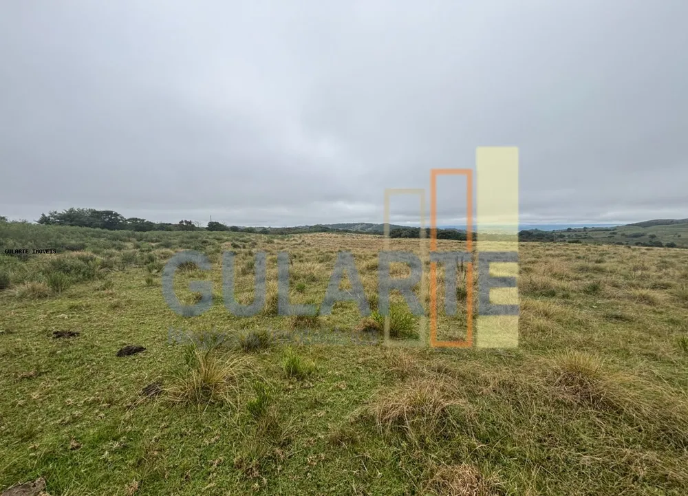 Fazenda, 912 hectares - Foto 7