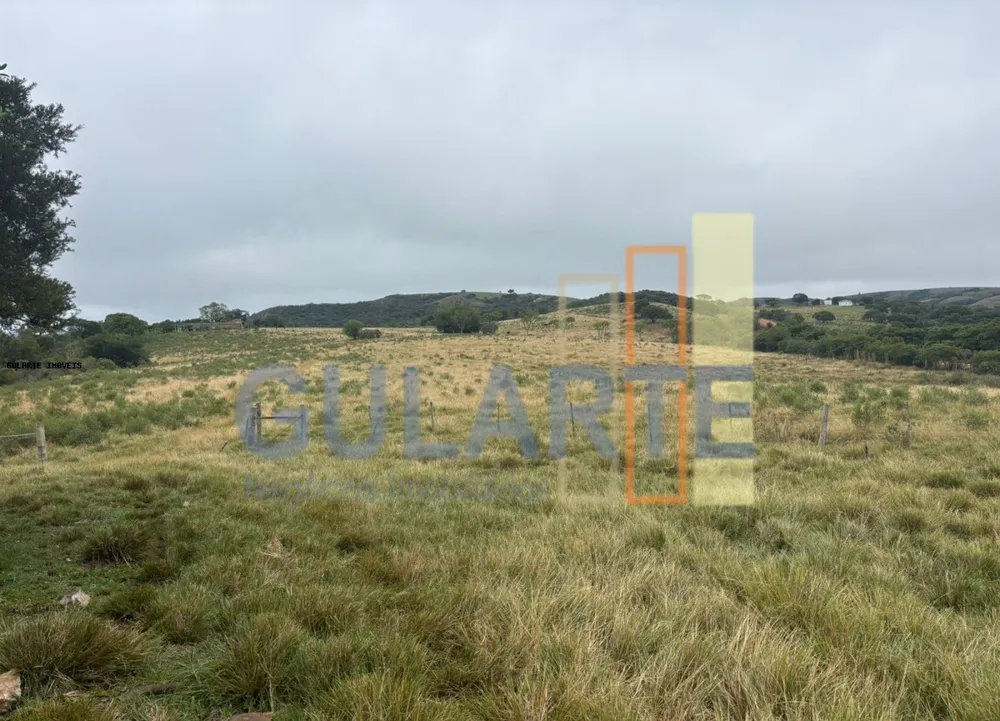 Fazenda, 912 hectares - Foto 3