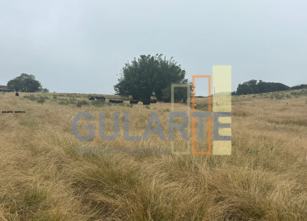 Fazenda, 912 hectares - Foto 6