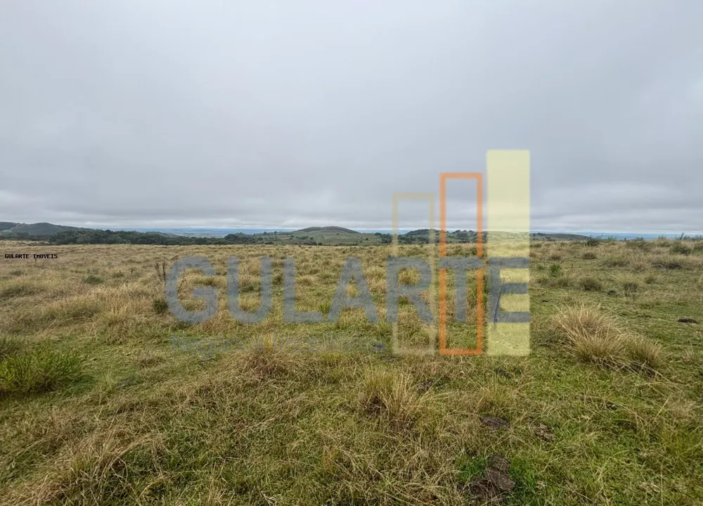Fazenda, 912 hectares - Foto 4