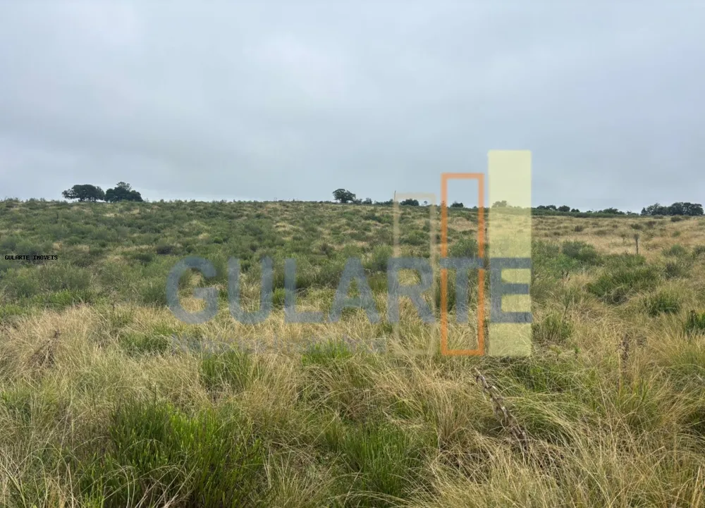 Fazenda, 912 hectares - Foto 4