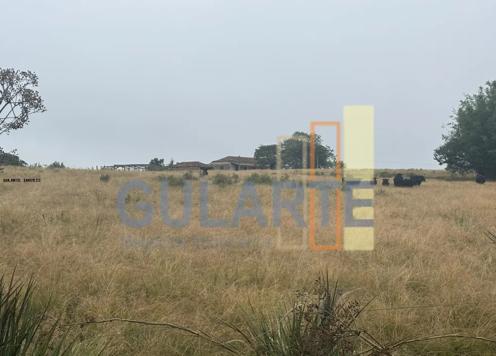 Fazenda, 912 hectares - Foto 2
