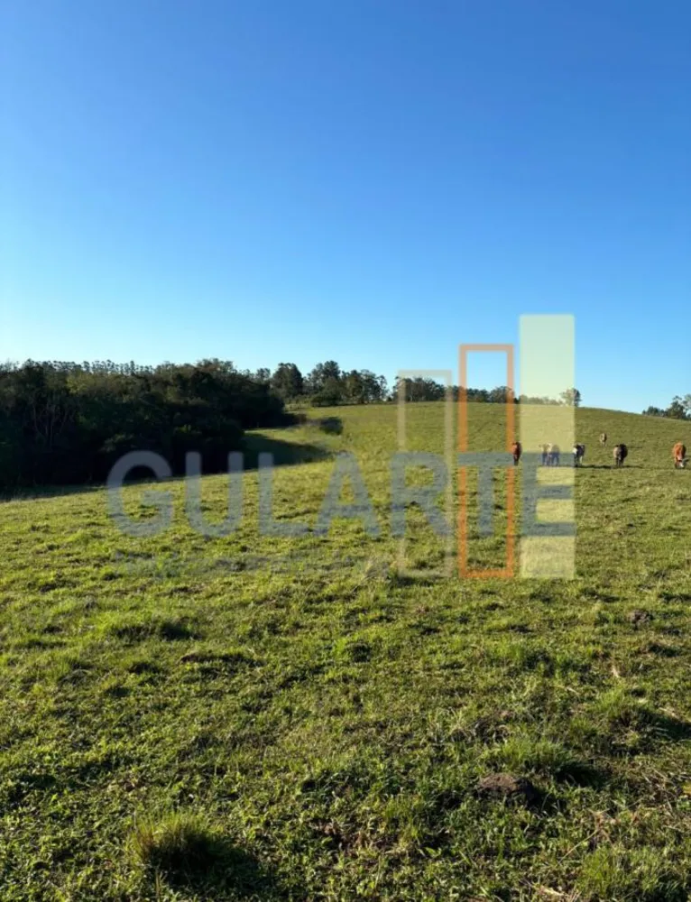 Fazenda, 90 hectares - Foto 1