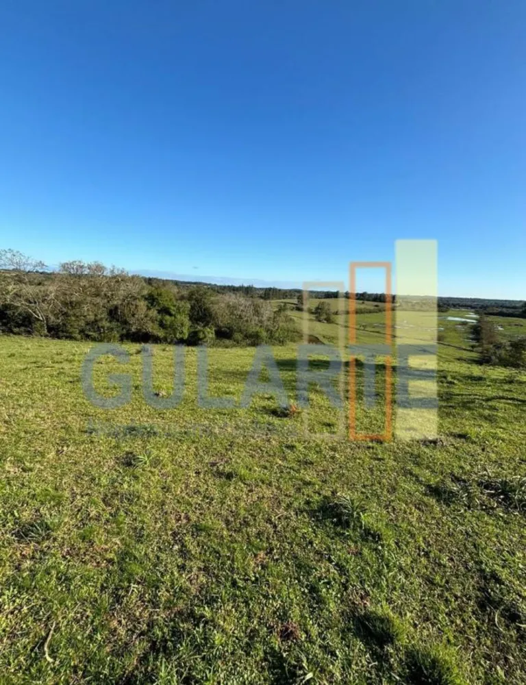 Fazenda, 90 hectares - Foto 2
