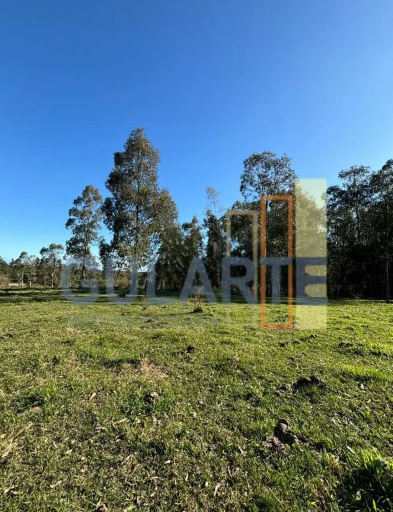Fazenda, 90 hectares - Foto 4