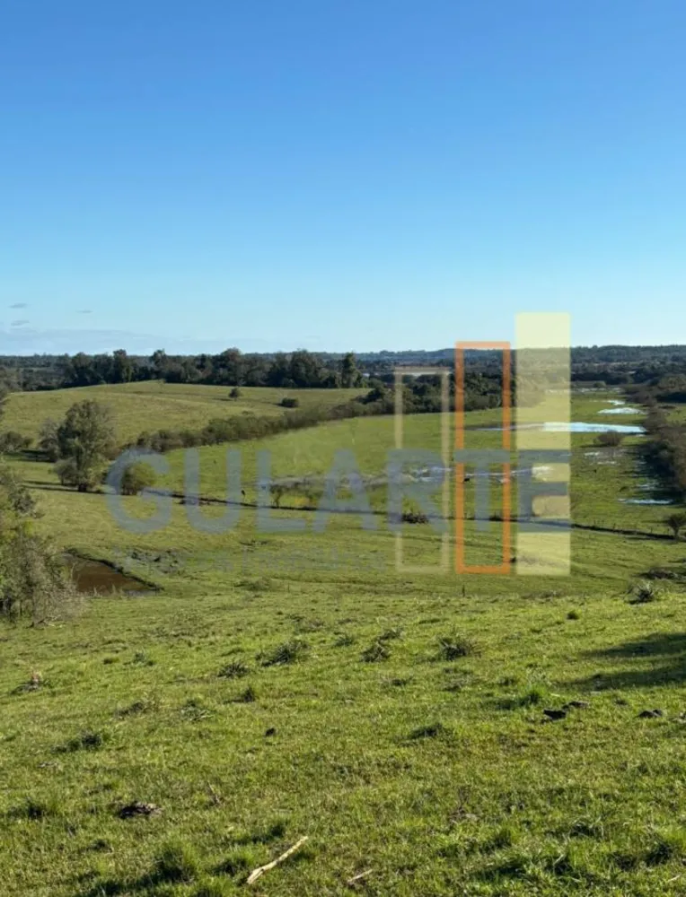 Fazenda, 90 hectares - Foto 4
