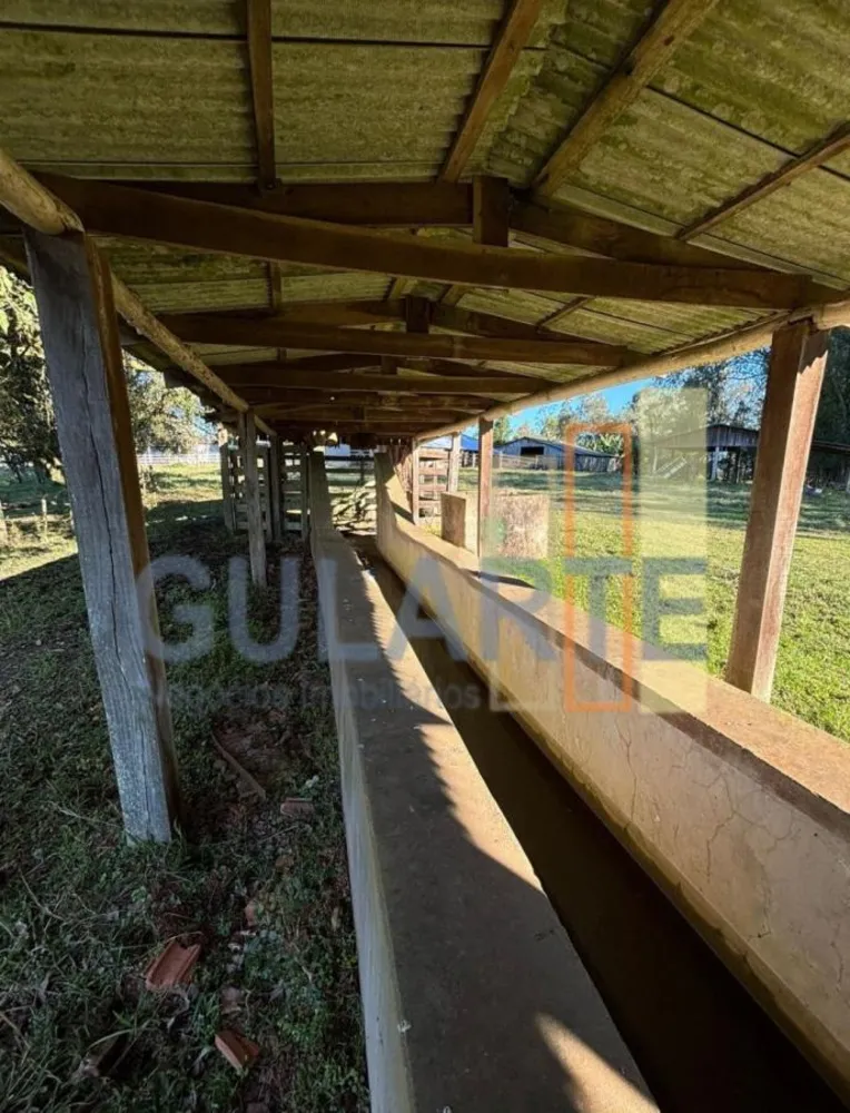 Fazenda, 90 hectares - Foto 8