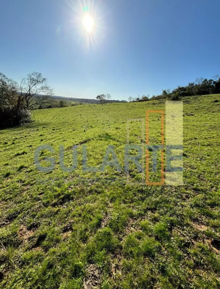 Fazenda, 90 hectares - Foto 3