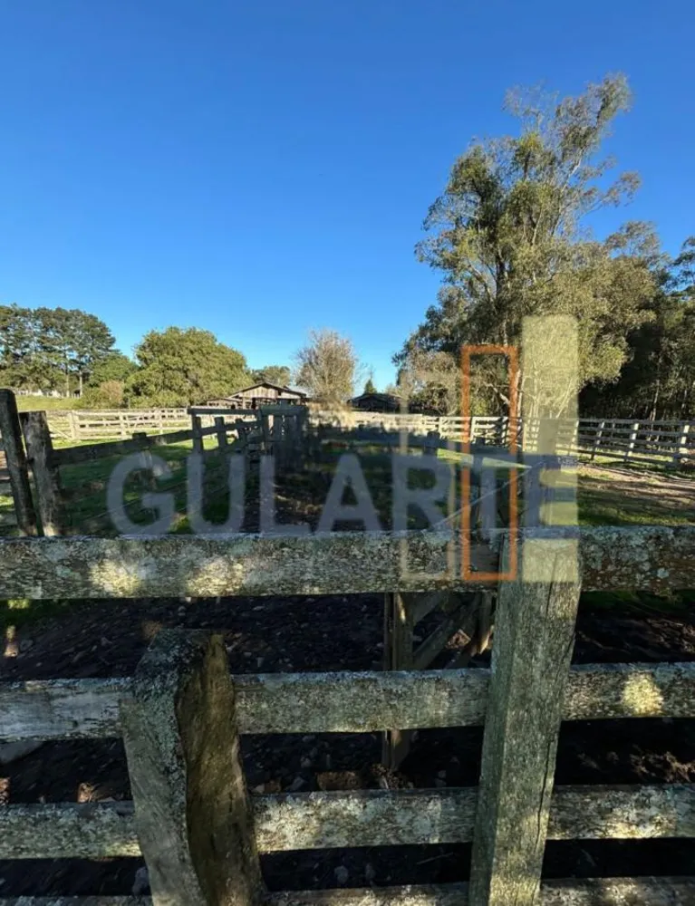 Fazenda, 90 hectares - Foto 6