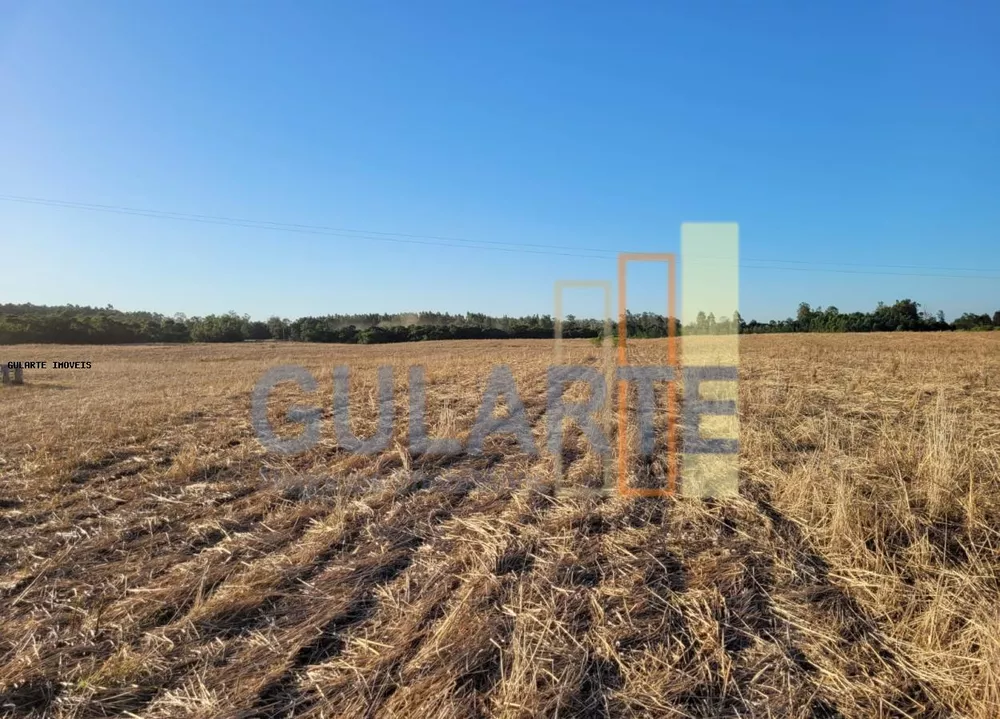 Fazenda, 62 hectares - Foto 5