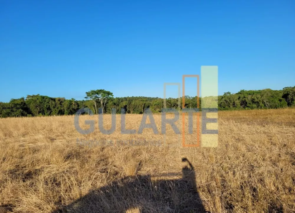 Fazenda, 62 hectares - Foto 3