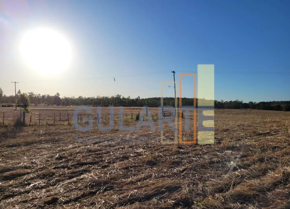 Fazenda, 62 hectares - Foto 6