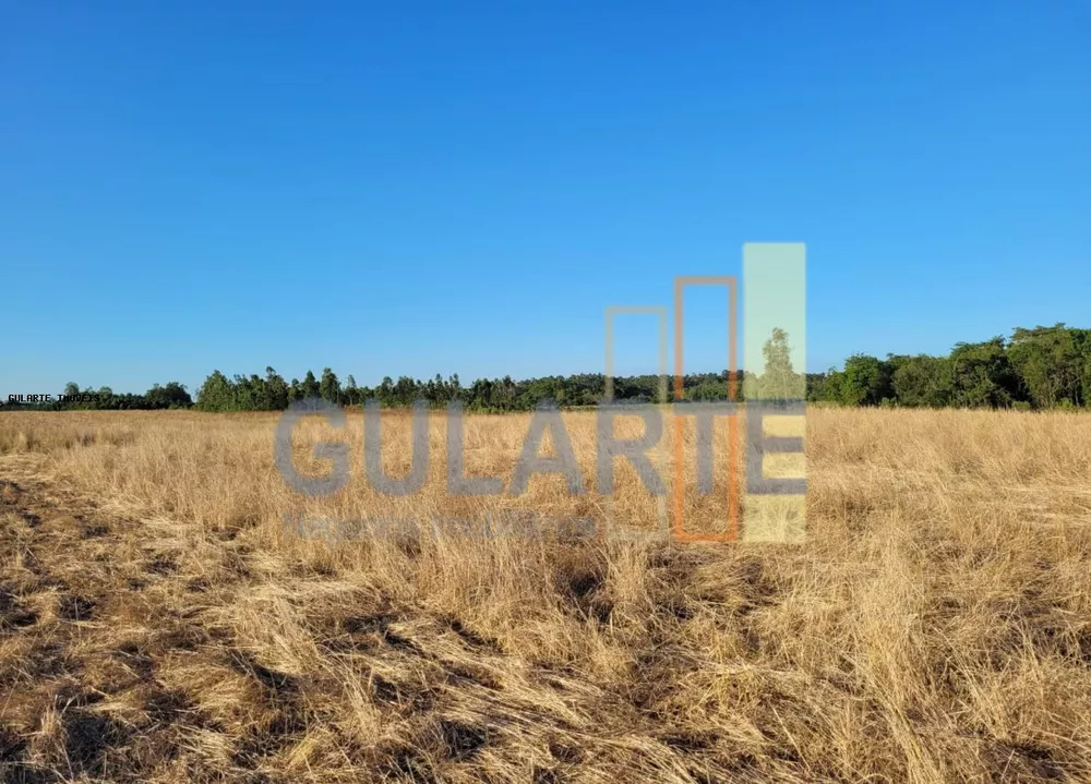 Fazenda, 62 hectares - Foto 7