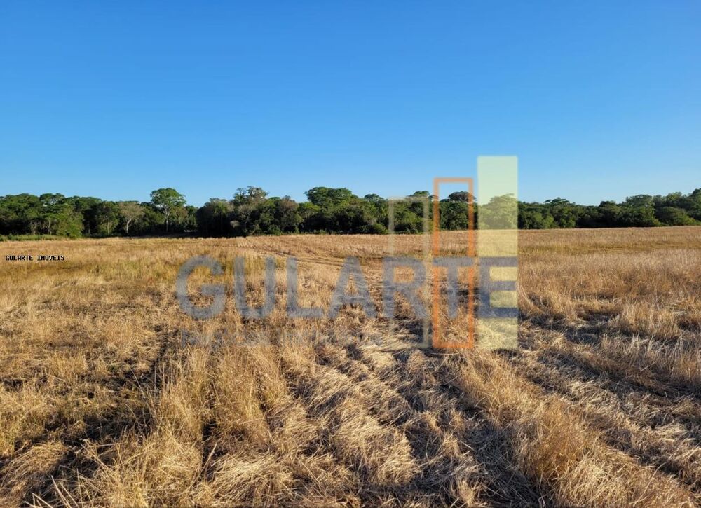 Fazenda à venda, 62m² - Foto 3