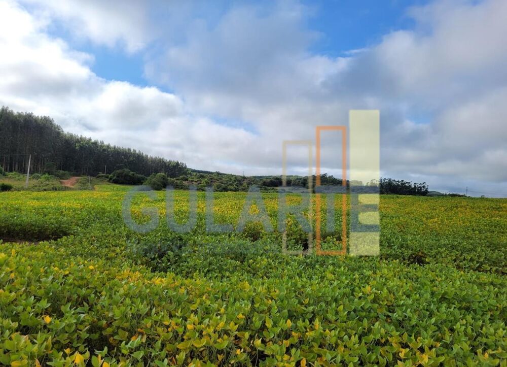 Fazenda à venda, 1400000m² - Foto 4