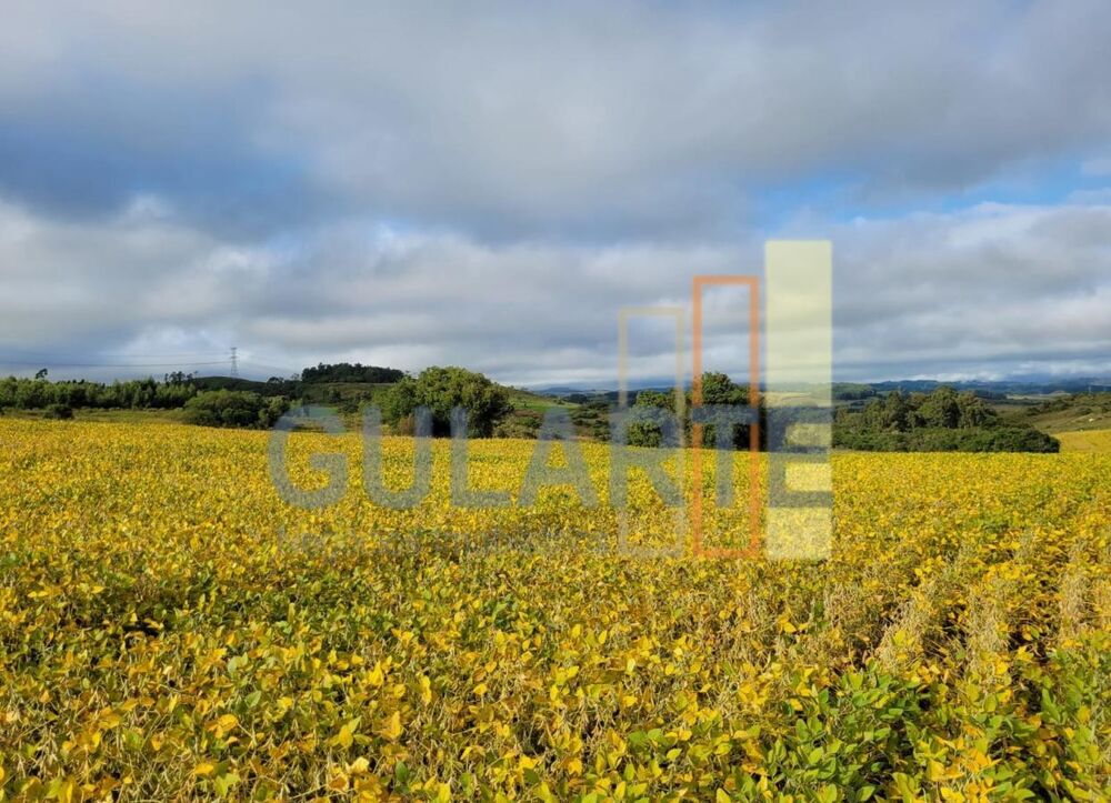 Fazenda à venda, 1400000m² - Foto 1
