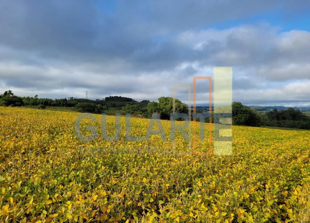Fazenda à venda, 1400000m² - Foto 2
