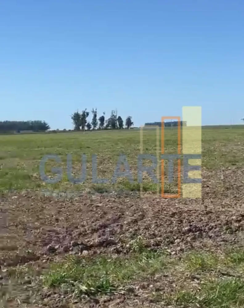 Fazenda, 600 hectares - Foto 1