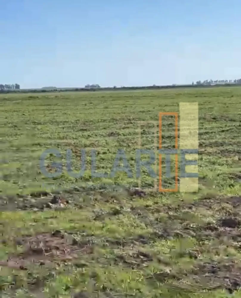 Fazenda, 600 hectares - Foto 3