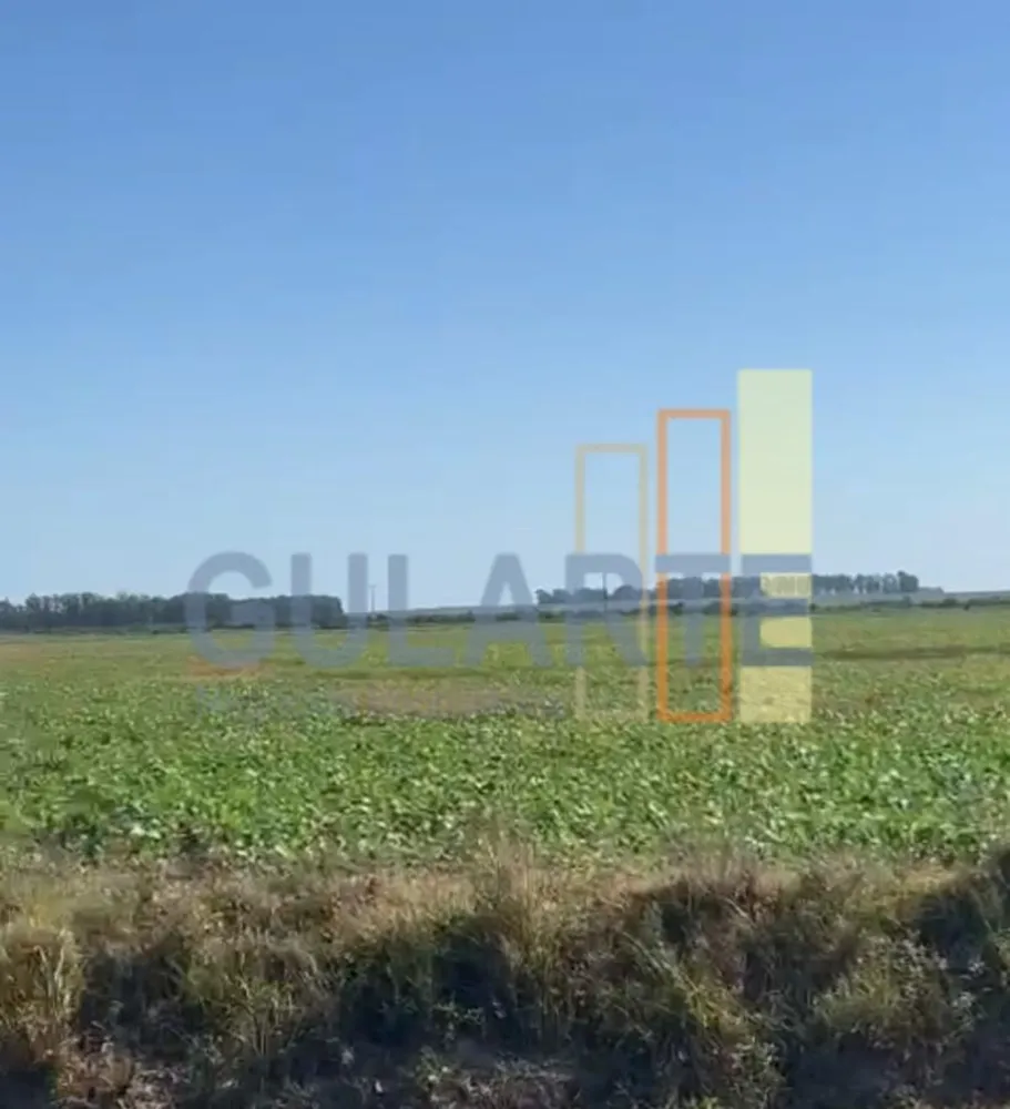 Fazenda, 600 hectares - Foto 4