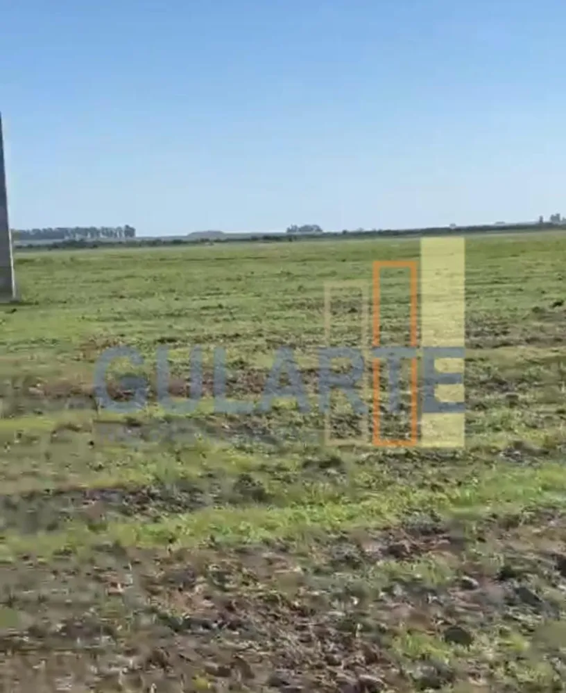 Fazenda, 600 hectares - Foto 4