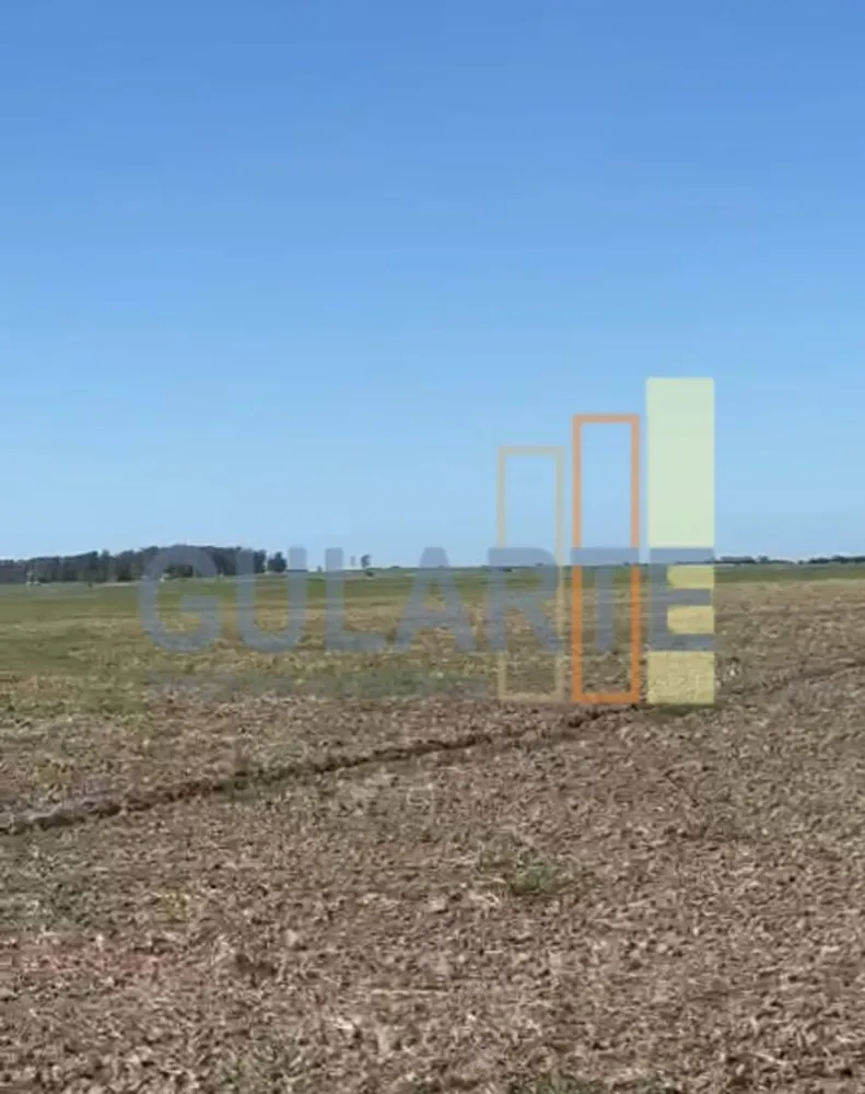 Fazenda, 600 hectares - Foto 6