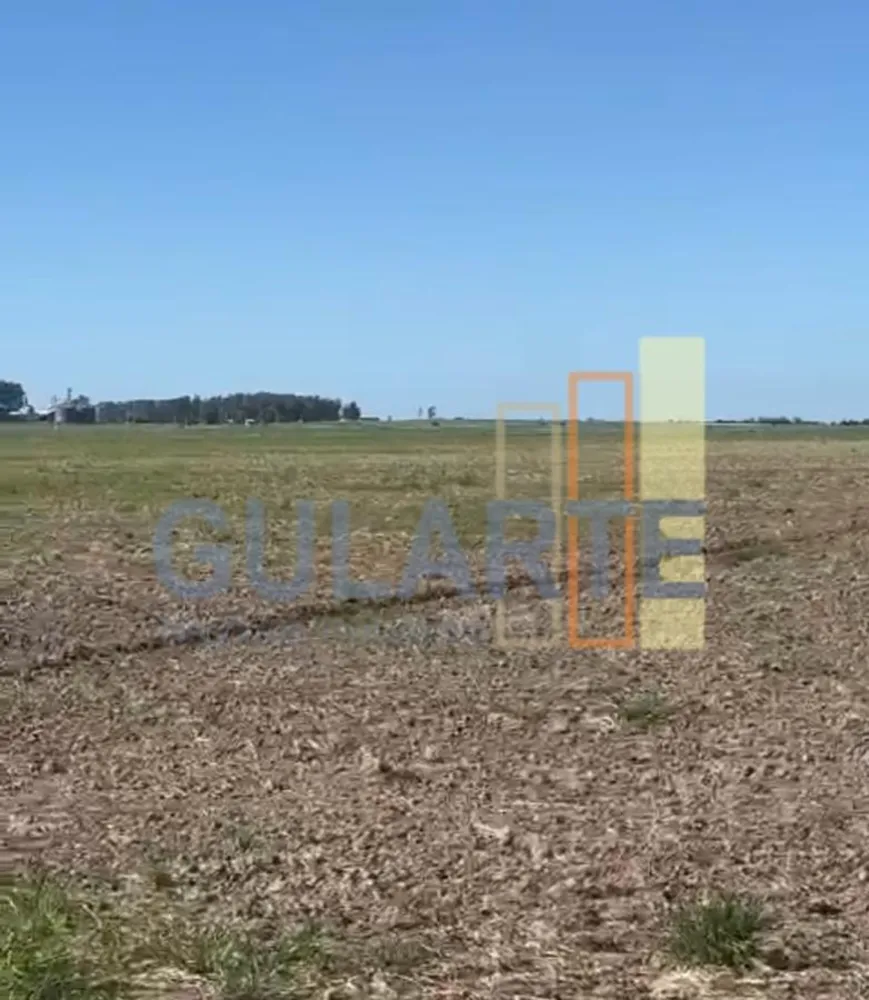 Fazenda, 600 hectares - Foto 2