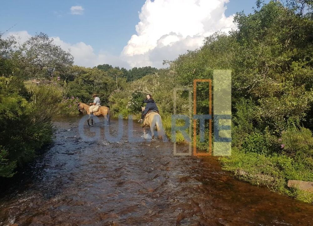 Fazenda à venda, 200000m² - Foto 4