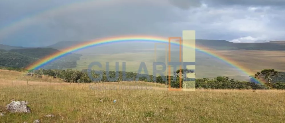 Fazenda, 20 hectares - Foto 1