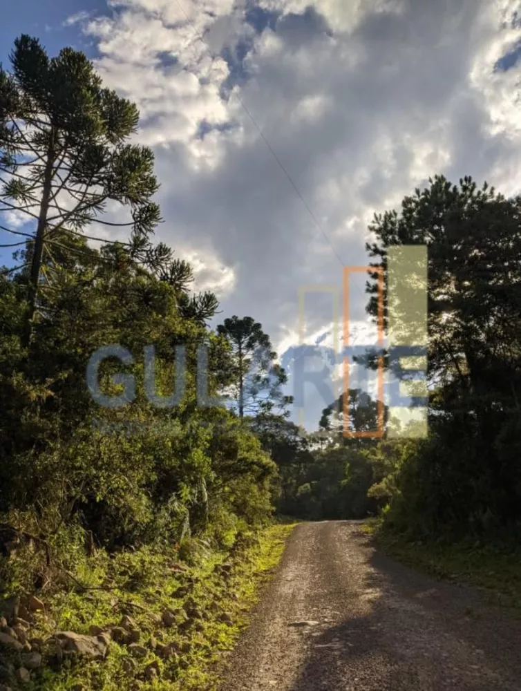 Fazenda, 20 hectares - Foto 5