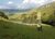 Fazenda-Sítio-Chácara, 20 hectares - Foto 3