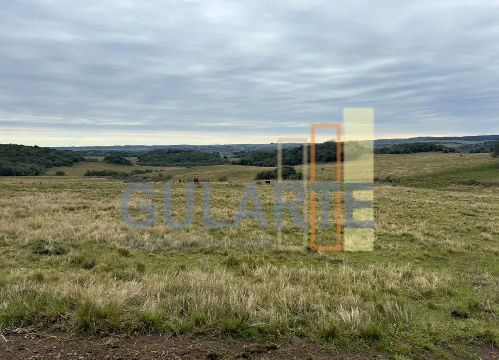 Fazenda, 241 hectares - Foto 2