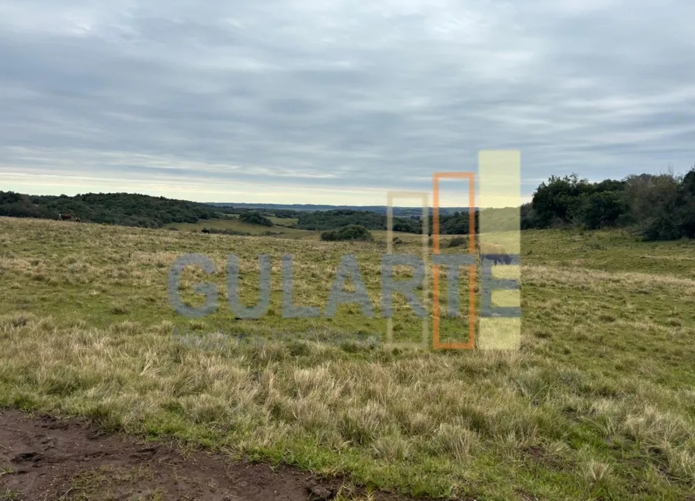 Fazenda, 241 hectares - Foto 2