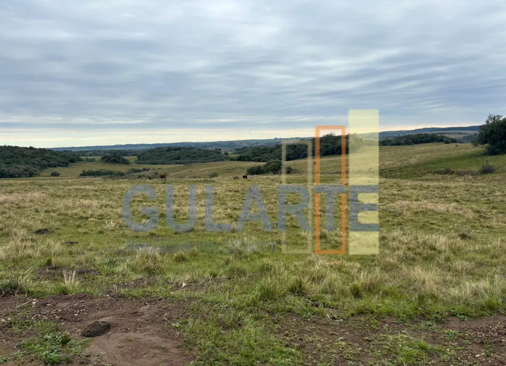 Fazenda, 241 hectares - Foto 1