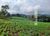 Fazenda, 62 hectares - Foto 2