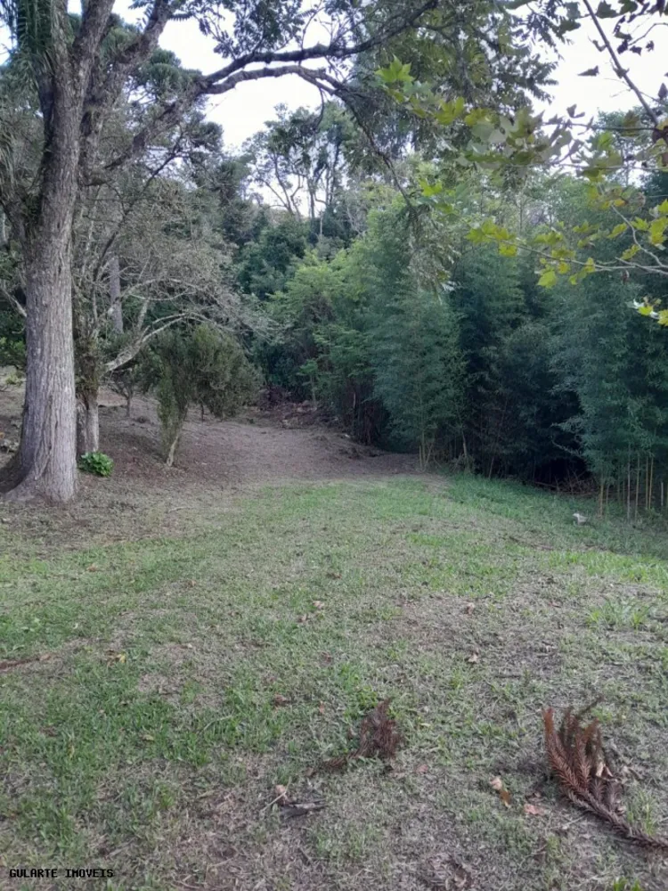 Terreno, 14 hectares - Foto 9