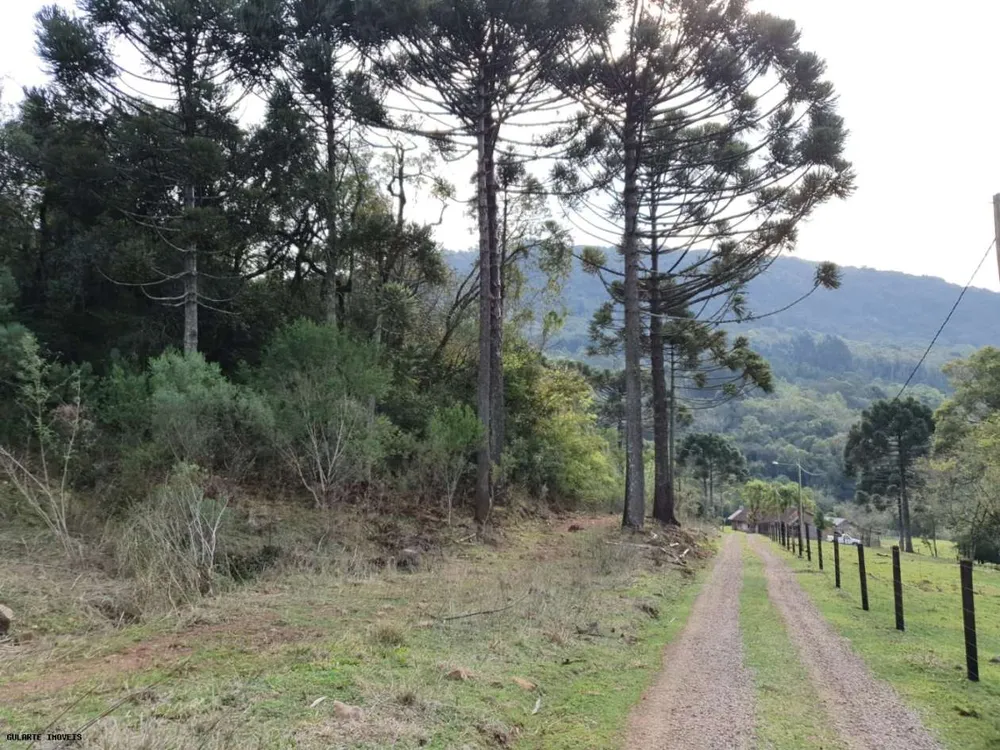 Terreno, 14 hectares - Foto 3