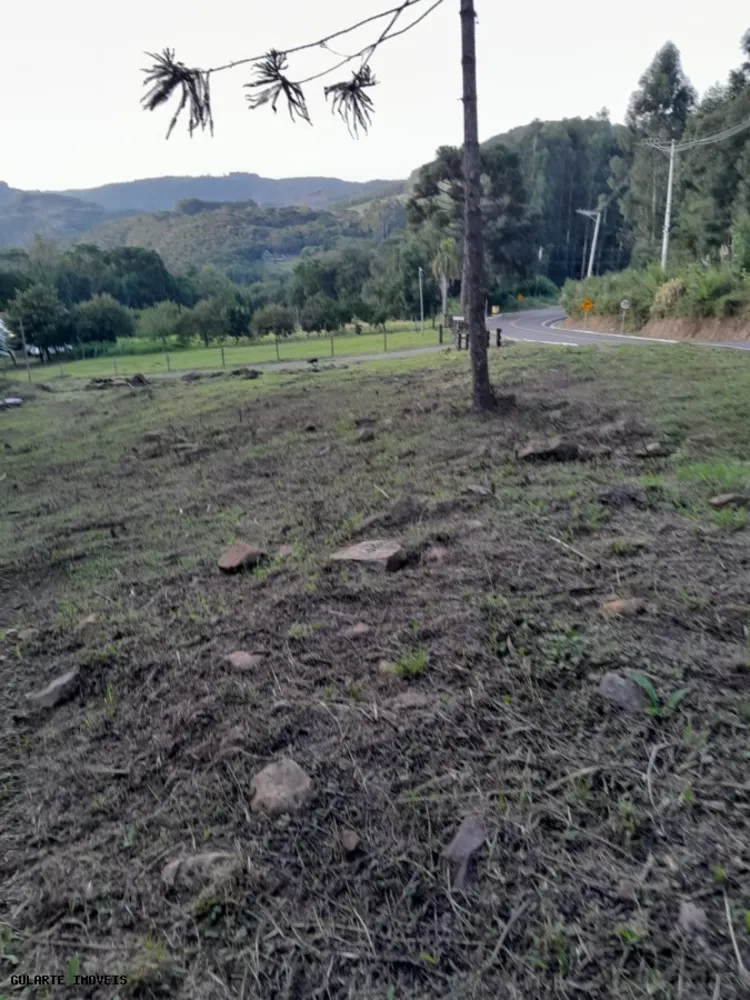 Terreno, 14 hectares - Foto 10