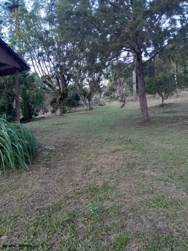 Terreno, 14 hectares - Foto 8