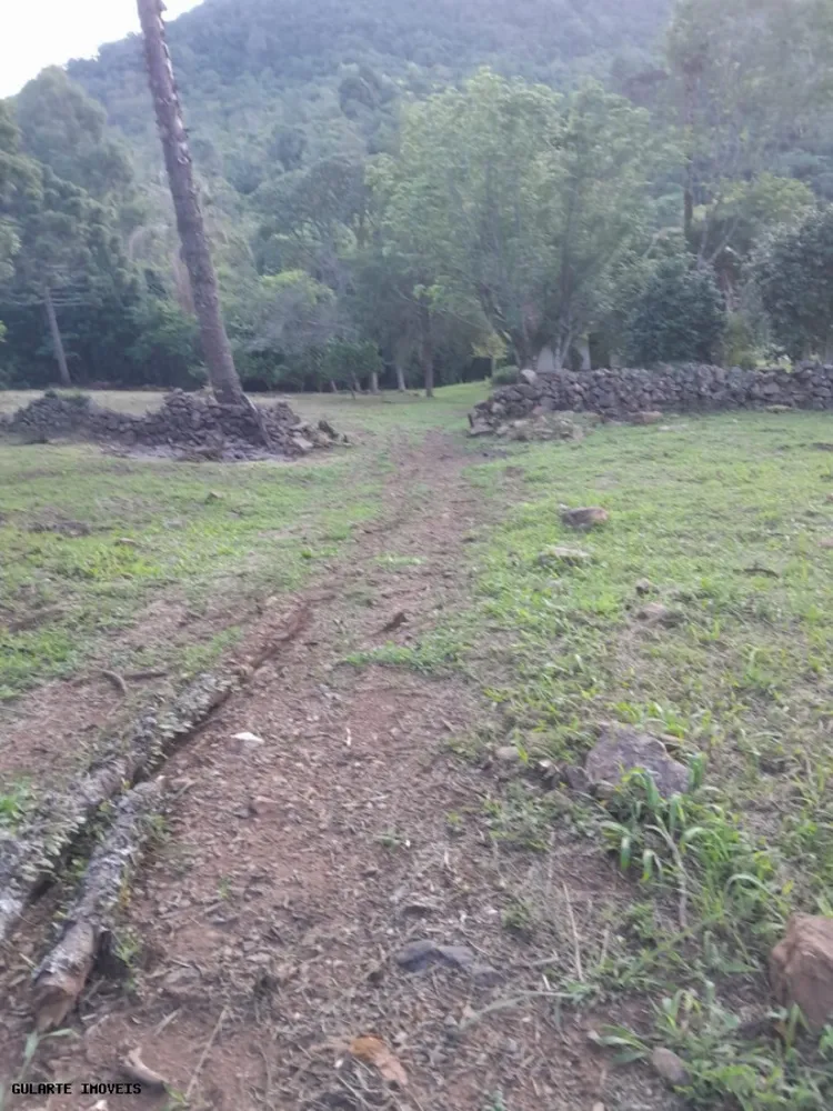 Terreno, 14 hectares - Foto 4