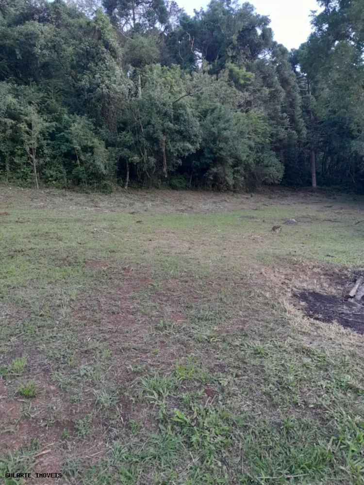 Terreno, 14 hectares - Foto 6