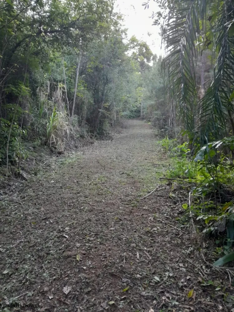 Terreno, 14 hectares - Foto 7