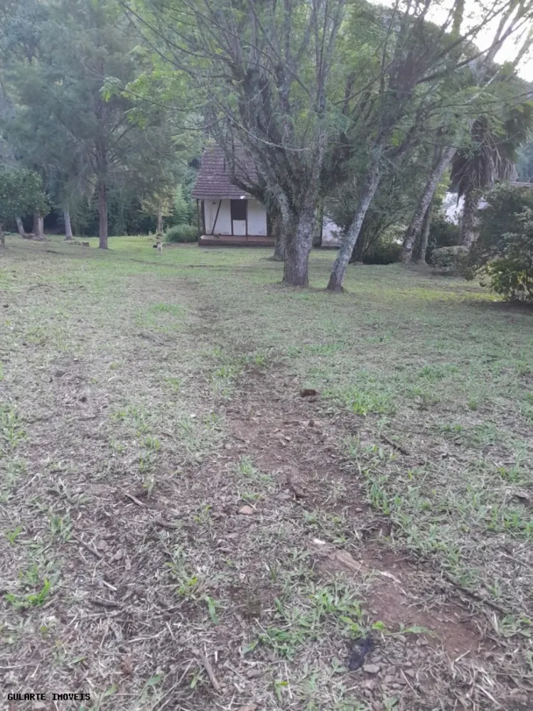 Terreno, 14 hectares - Foto 5