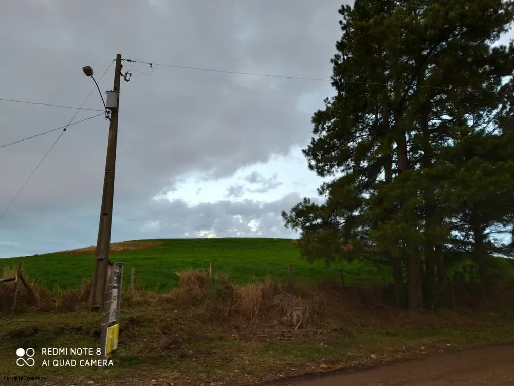 Terreno, 12 hectares - Foto 4